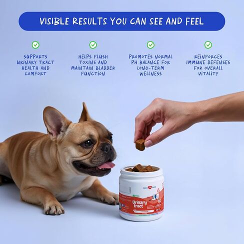 Cranberry Chews for Dogs UTI Treatment & Bladder Support with D-Mannose in Saudi Arabia