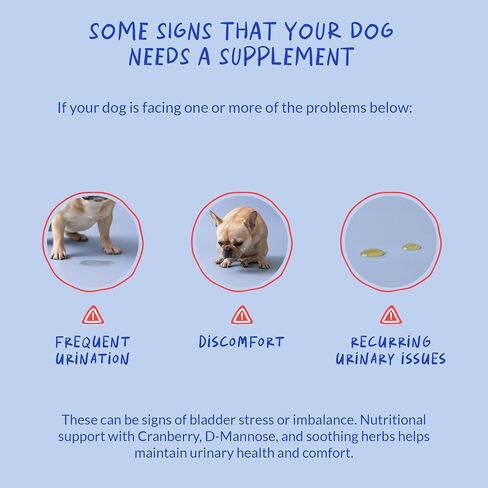 Cranberry Chews for Dogs UTI Treatment & Bladder Support with D-Mannose in Saudi Arabia
