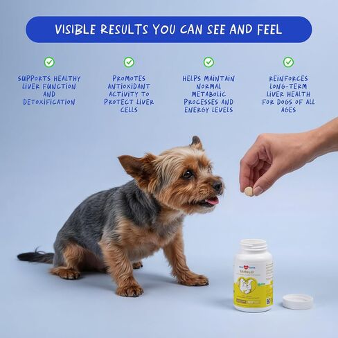 Same for Dogs 120 Tablets - Liver Supplement, Brain & Mood Support in Saudi Arabia