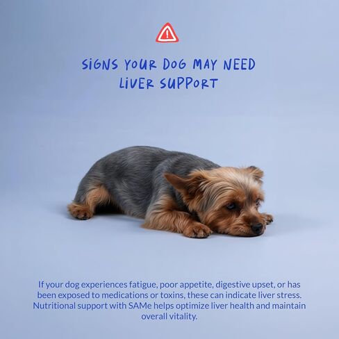 Same for Dogs 120 Tablets - Liver Supplement, Brain & Mood Support in Saudi Arabia