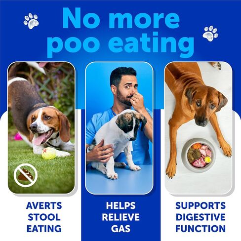 No Poo Chews for Dogs - 120 Bites - Poop Eating Deterrent for Dogs, Puppies in Kuwait