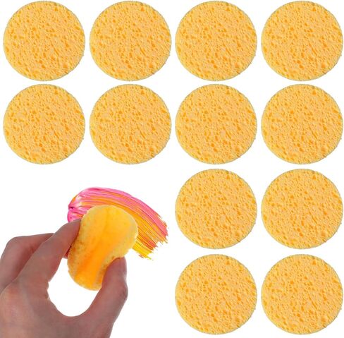 12pcs Pottery Sponges, 2.3inch Round Painting Sponge in Saudi Arabia