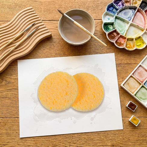 12pcs Pottery Sponges, 2.3inch Round Painting Sponge in Saudi Arabia