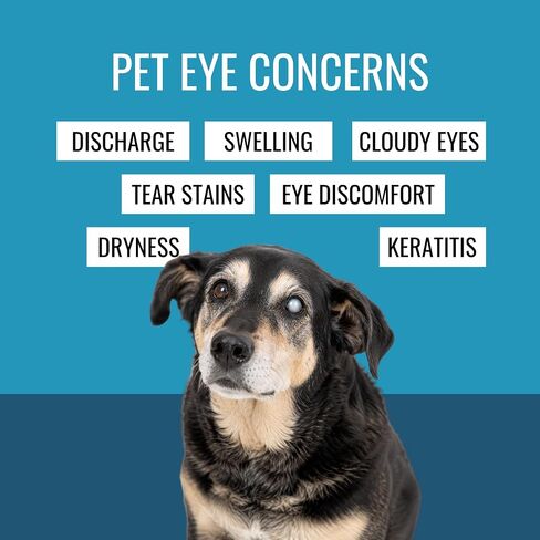 NOVEHA Pet Drops | Advanced Lanosterol Solution + NAC (2 x 10 mL) in Saudi Arabia