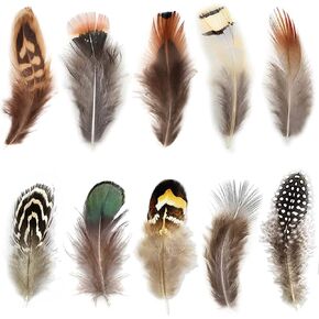 200pcs 10 Style Natural Feathers Assorted Mixed Feathers for Dream Catcher Crafts Decoration (10 Styles - 200 Pcs) in Kuwait