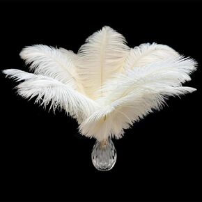 Piokio 20Pcs White Ostrich Feathers 10-12 inch (25-30cm) in Saudi Arabia