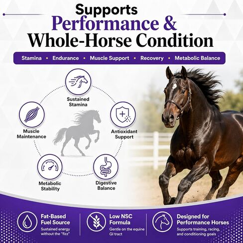 PROFORTiS SP - Rice Bran Oil Emulsion with Gamma Oryzanol for Horses in Kuwait