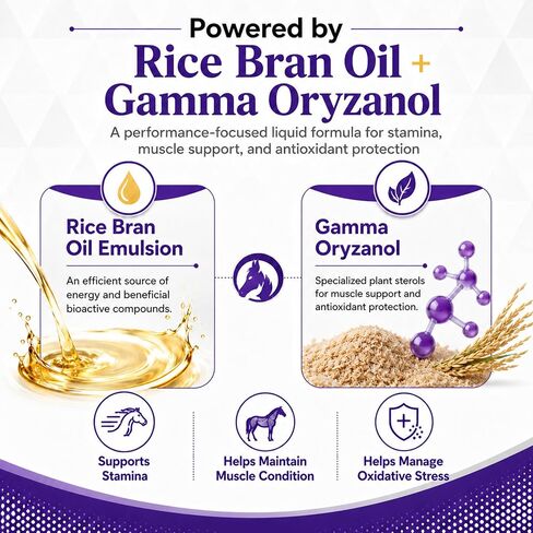 PROFORTiS SP - Rice Bran Oil Emulsion with Gamma Oryzanol for Horses in Kuwait