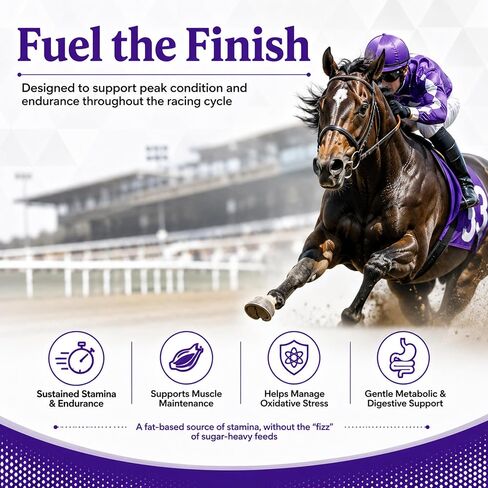 PROFORTiS SP - Rice Bran Oil Emulsion with Gamma Oryzanol for Horses in Kuwait
