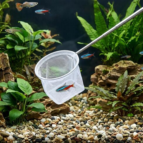 4 Pack Aquarium Fish Net 3" 3.74" Shrimp Nets Small Fish Net for Tank in Saudi Arabia