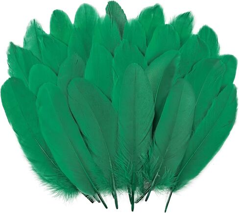 300pcs Black Natural Goose Feathers Bulk 5-7 Inch 13-18cm for Crafts DIY, Wedding Party Decorations, Cosplay Wings, Halloween Masks, Dream Catchers in Saudi Arabia