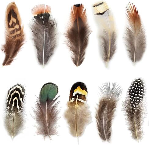 200pcs 10 Style Natural Feathers Assorted Mixed Feathers for Dream Catcher Crafts Decoration (10 Styles - 200 Pcs) in Kuwait