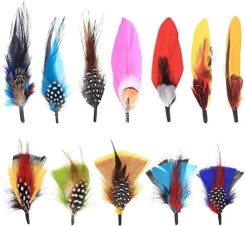 RUGLAMZHIP Hat Feathers, 12 Pcs Colorful Natural Feathers in Kuwait