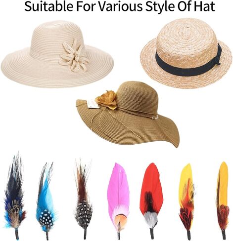 RUGLAMZHIP Hat Feathers, 12 Pcs Colorful Natural Feathers in Kuwait