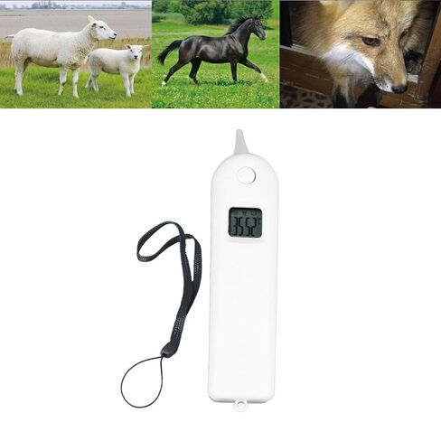 High Accuracy Electronic Pet Thermometer for Livestock in Kuwait