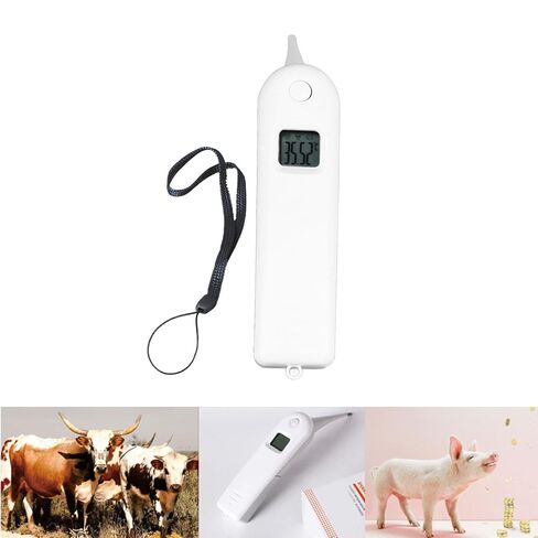 High Accuracy Electronic Pet Thermometer for Livestock in Kuwait