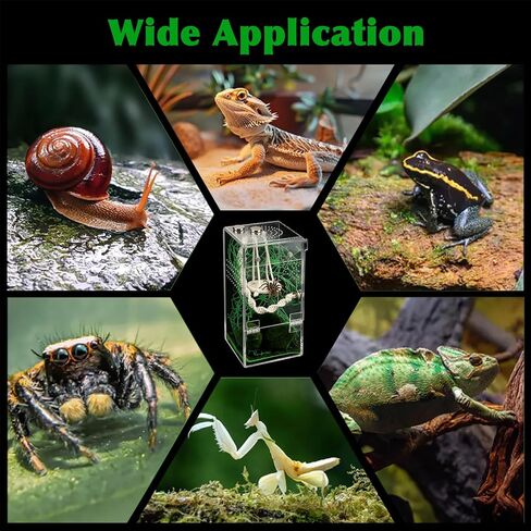 Jumping Spider Enclosure Hammock Kit, 6×3×3 Inch Small Clear Reptile Terrarium, No Assembly Required, Reptile Ventilated Habitat with Magnetic Door for Tarantula, Snail, Praying Mantis in Kuwait
