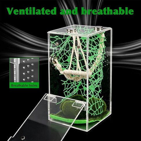 Jumping Spider Enclosure Hammock Kit, 6×3×3 Inch Small Clear Reptile Terrarium, No Assembly Required, Reptile Ventilated Habitat with Magnetic Door for Tarantula, Snail, Praying Mantis in Kuwait
