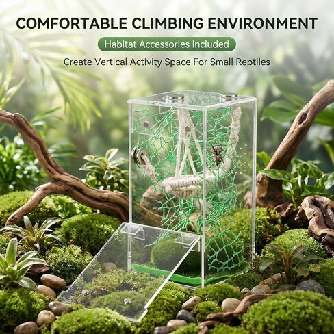 Jumping Spider Enclosure Hammock Kit, 6×3×3 Inch Small Clear Reptile Terrarium, No Assembly Required, Reptile Ventilated Habitat with Magnetic Door for Tarantula, Snail, Praying Mantis in Kuwait
