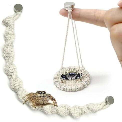 2 Pack Jumping Spider Rope Bridge Swings, Natural Cotton Rope Handmade Magnetic Mounting Jumping Spider Accessories for Medium Jumping Spider Enclosure in Saudi Arabia