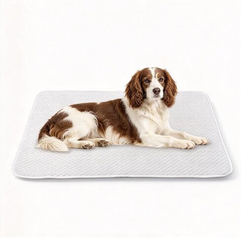 Dog Bed Floor Mat 38"x26", Washable Waterproof Non-Slip Thin Pad, M in Saudi Arabia