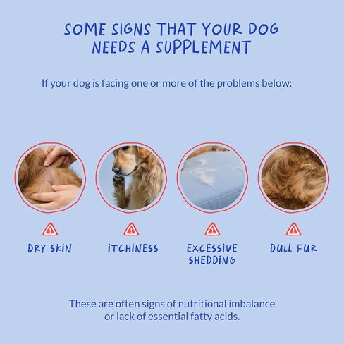 Skin & Coat Supplement for Dogs, Omega 3 Fish Oil for Shedding & Dry Skin in Saudi Arabia