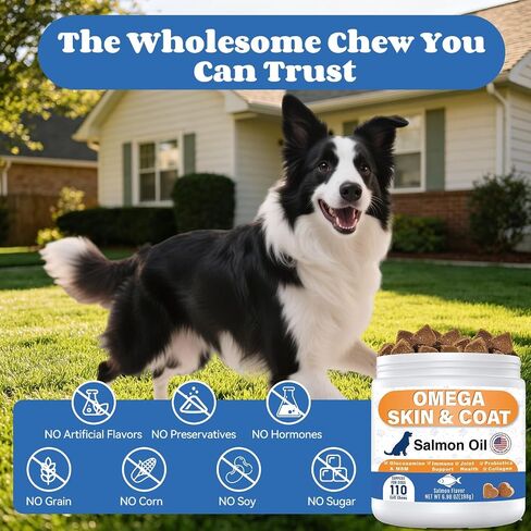Omega 3 Fish Oil for Dogs - Skin & Coat Supplements with EPA & DHA, Salmon Oil, Glucosamine, MSM, Collagen for Gut, Immune, Shedding, Joint, Heart Health, Salmon Flavor, 110 Count in Kuwait