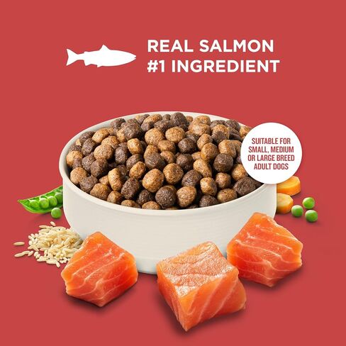 Nutrish Salmon Dry Dog Food, 12 lb. Bag (Rachael Ray) in Kuwait