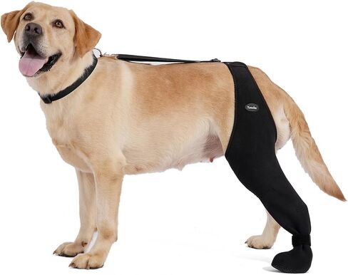 Dog Socks to Prevent Licking Paws ，Breathable Leg Sleeve to Stop Licking and Biting， Firm and Secure Adjustable Size Dog Recovery Sleeve Socks (L-Right) in Saudi Arabia