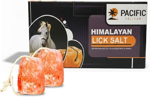 Himalayan Pink Salt Licks for Animals – Natural Salt Block with Rope for Horses, Cows, Deer & More – No Harmful Elements - Approximately 9 lbs (Pack of 2) in Kuwait