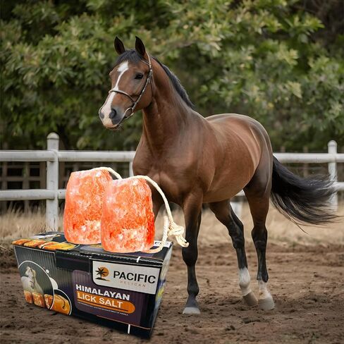 Himalayan Pink Salt Licks for Animals – Natural Salt Block with Rope for Horses, Cows, Deer & More – No Harmful Elements - Approximately 9 lbs (Pack of 2) in Kuwait