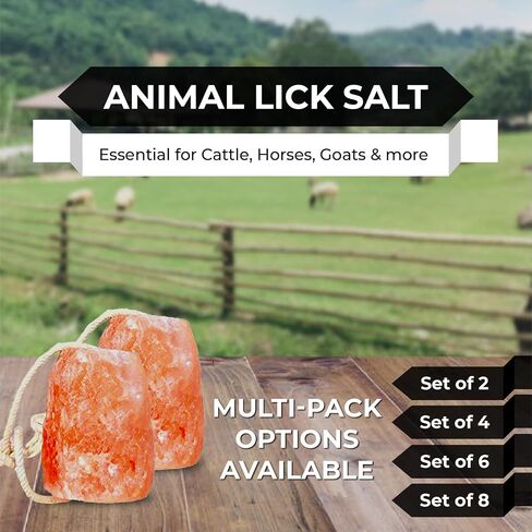 Himalayan Pink Salt Licks for Animals – Natural Salt Block with Rope for Horses, Cows, Deer & More – No Harmful Elements - Approximately 9 lbs (Pack of 2) in Kuwait