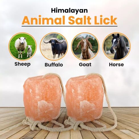 Premium Himalayan Horse Salt Lick 4 Pack 5-6 lbs Each Treat Block | Equine Mineral Salt Block with 36" Rope | Treats for Horses, Deer, Goats & Livestock in Kuwait