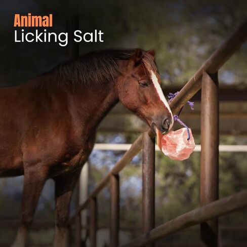 Premium Himalayan Horse Salt Lick 4 Pack 5-6 lbs Each Treat Block | Equine Mineral Salt Block with 36" Rope | Treats for Horses, Deer, Goats & Livestock in Kuwait