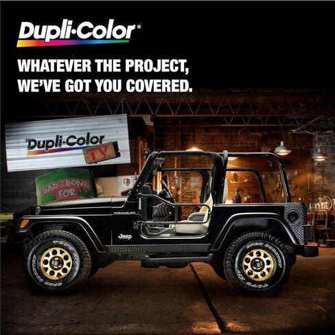 Dupli-Color Tire Paint Black, 10 Ounce (TP101) in Kuwait