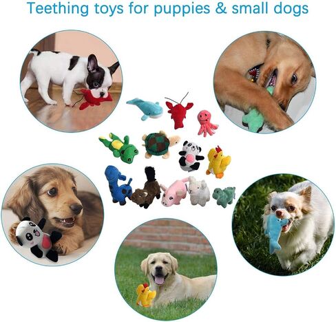 LEGEND SANDY Squeaky Plush Dog Toy Pack for Puppy, Small Puppy Chew Toys in Kuwait