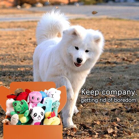 LEGEND SANDY Squeaky Plush Dog Toy Pack for Puppy, Small Puppy Chew Toys in Kuwait