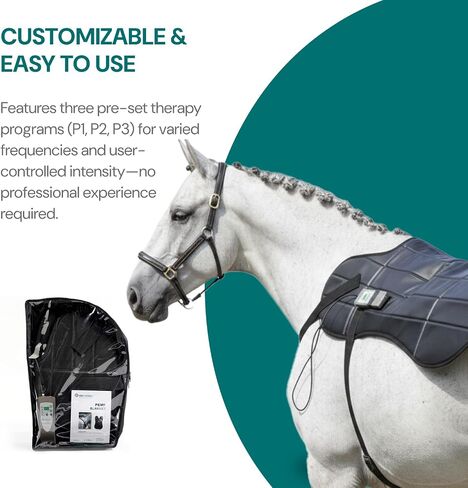 OMI Horses: PEMF Blanket in Kuwait