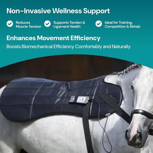 OMI Horses: PEMF Blanket in Kuwait