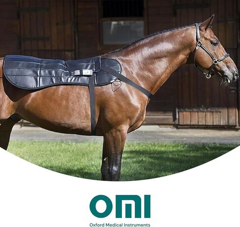 OMI Horses: PEMF Blanket in Kuwait