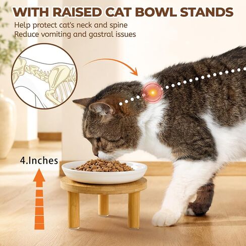 Elevated Ceramic Cat Bowls, Nonslip Raised Cat Food Dishes or Plates in Kuwait