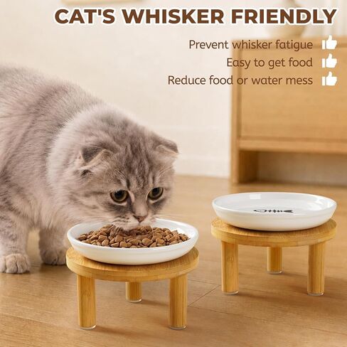 Elevated Ceramic Cat Bowls, Nonslip Raised Cat Food Dishes or Plates in Kuwait
