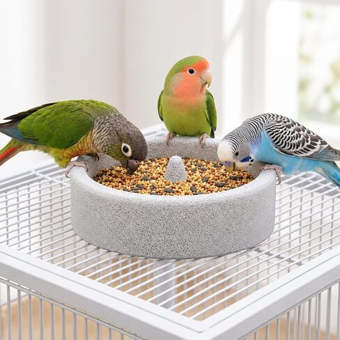 Bird Feeding Bowl with Natural Volcanic Stone, Sturdy Beak Grinding Tray for Cockatiel, Macaw, Budgie, Lovebird and Small Pets in Saudi Arabia