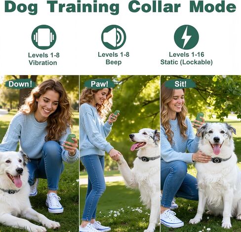 Wireless Dog Fence System, Dog Electric Fence with Remote in Kuwait