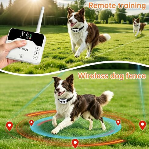 2-in-1 Wireless Dog Fence and Shock Collar for Large Dogs in Kuwait