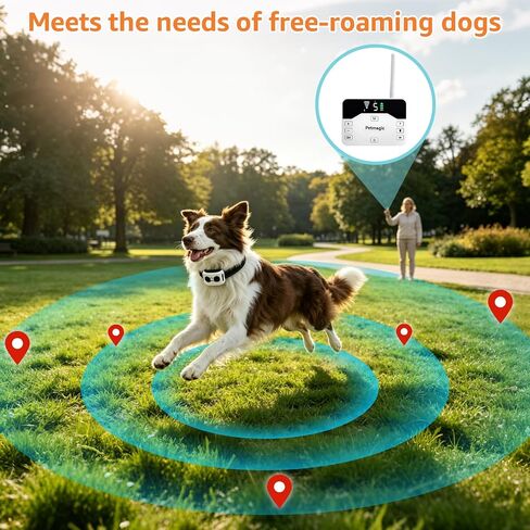 2-in-1 Wireless Dog Fence and Shock Collar for Large Dogs in Kuwait