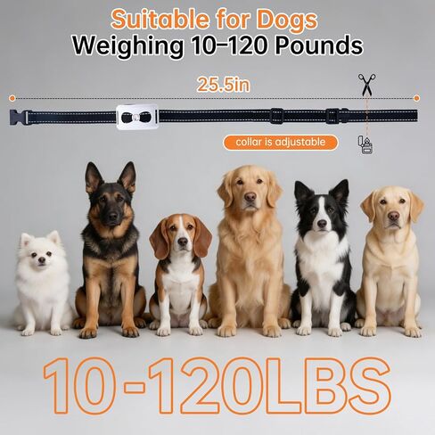 2-in-1 Wireless Dog Fence and Shock Collar for Large Dogs in Kuwait