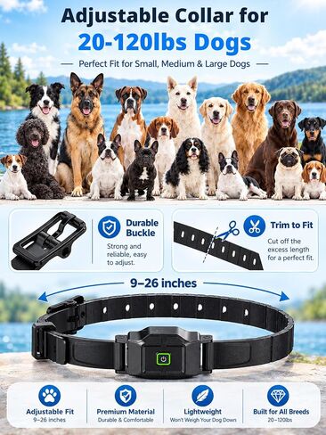 2-in-1 GPS Wireless Dog Fence & Training Collar System for Dogs 20+ lbs in Kuwait