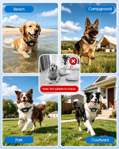 GPS Wireless Dog Fence System for Dogs 18+ lbs, 33–1999 Yard Range in Kuwait
