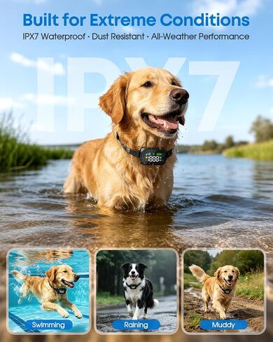 GPS Wireless Dog Fence System for Dogs 18+ lbs, 33–1999 Yard Range in Kuwait